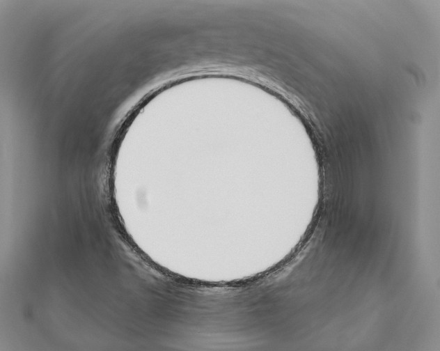 X0000110921502200907301551