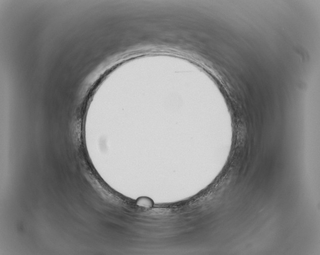 X0000110921503200907301551