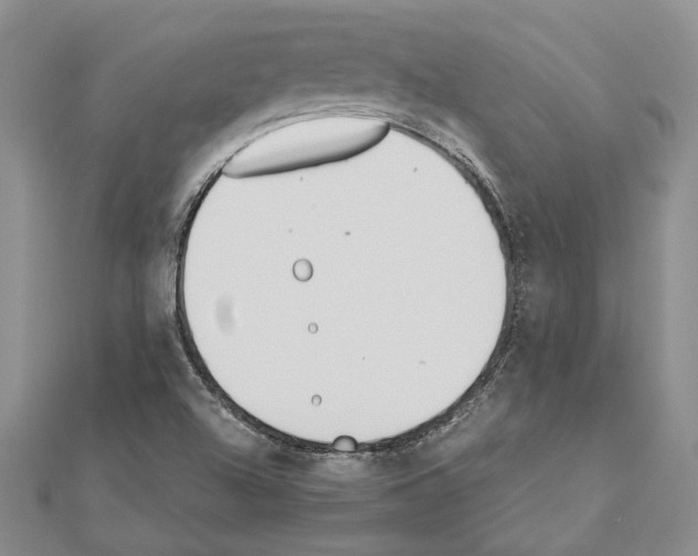 X0000110921504200907301551