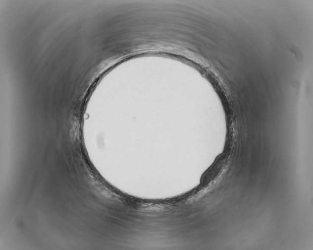 X0000110921505200907301551