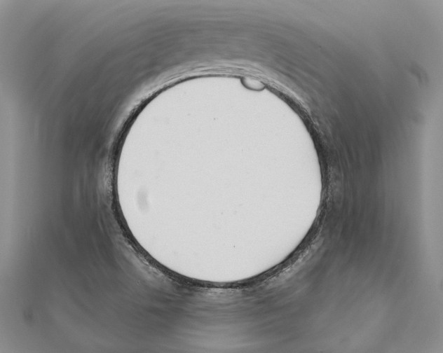 X0000110921506200907301551