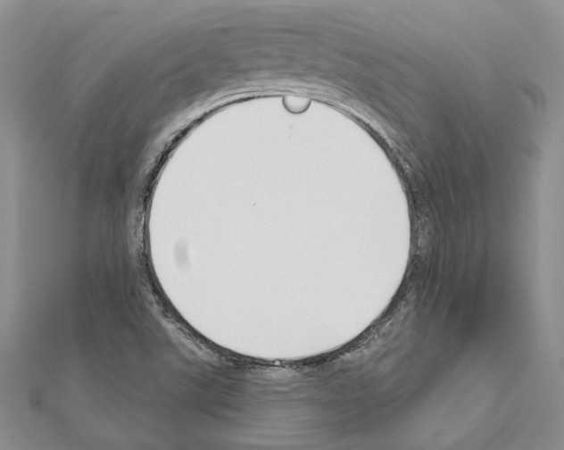 X0000110921507200907301551