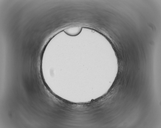 X0000110921508200907301551
