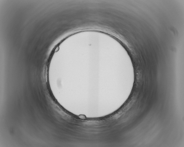 X0000110921510200907301551
