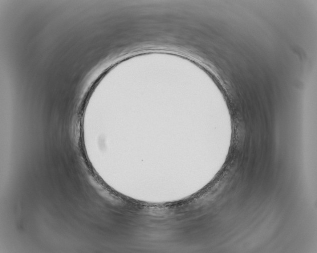 X0000110921511200907301551