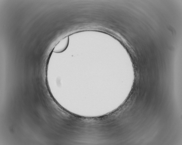X0000110921512200907301551