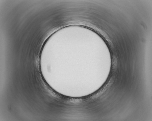 X0000110921513200907301551