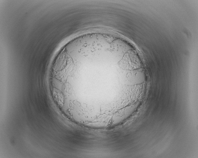 X0000110921514200907301551