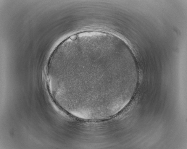 X0000110921515200907301551