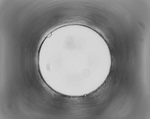 X0000110921516200907301551