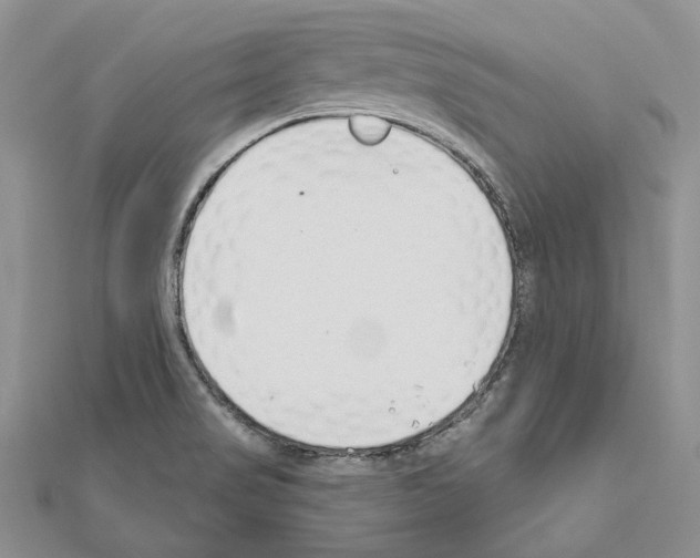 X0000110921517200907301552