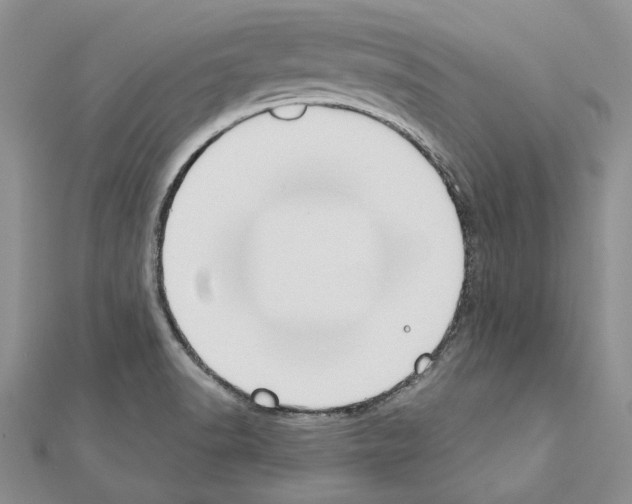 X0000110921518200907301552