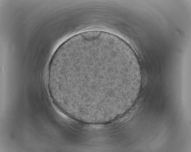 X0000110921519200907301552