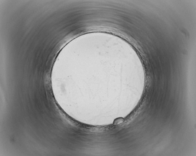 X0000110921521200907301552