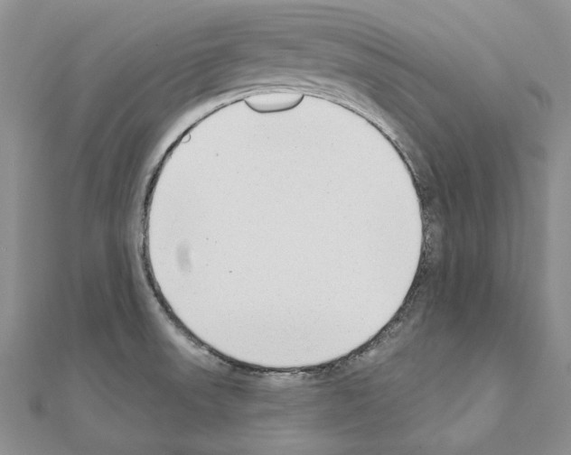 X0000110921523200907301552