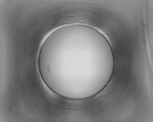 X0000110921524200907301552
