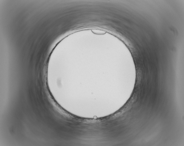 X0000110921526200907301552