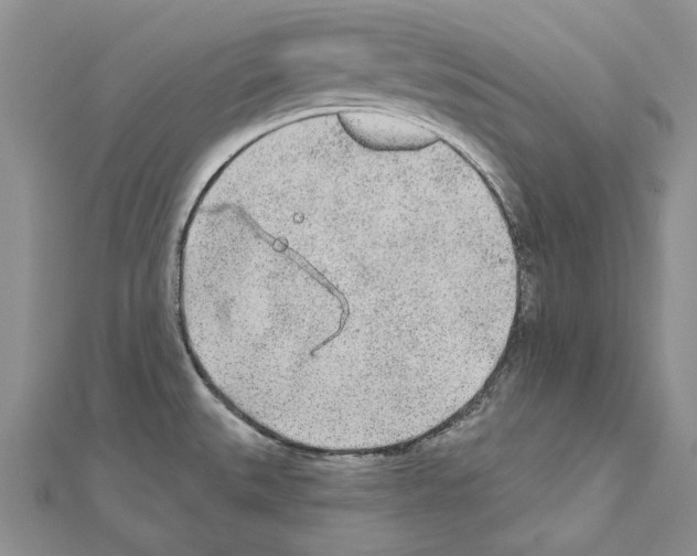 X0000110921527200907301552