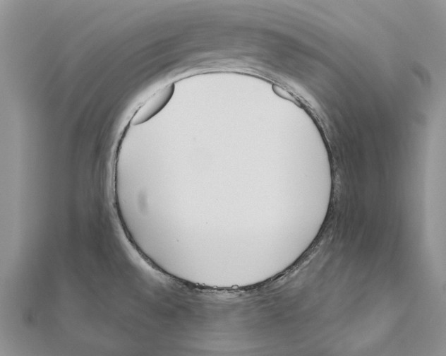 X0000110921528200907301552