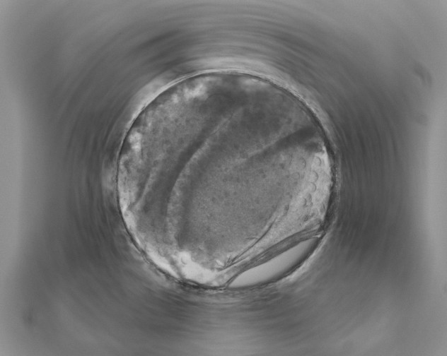 X0000110921529200907301552
