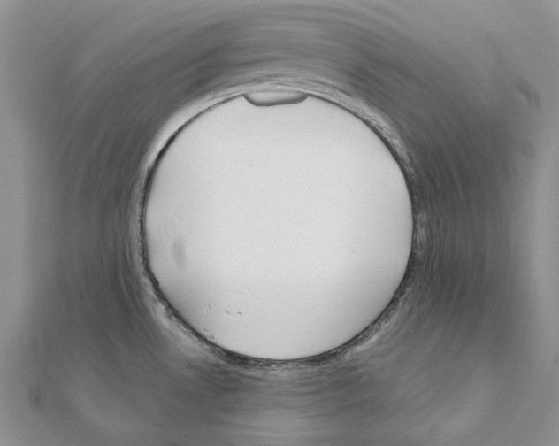 X0000110921530200907301552
