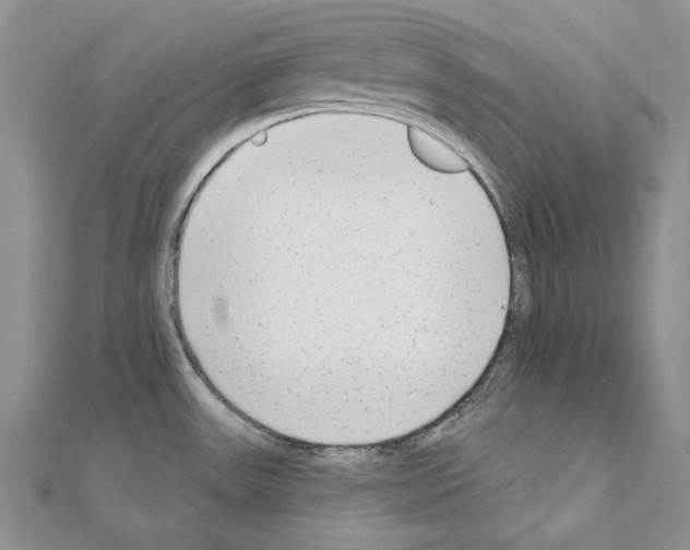 X0000110921531200907301552