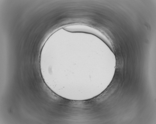 X0000110921532200907301552