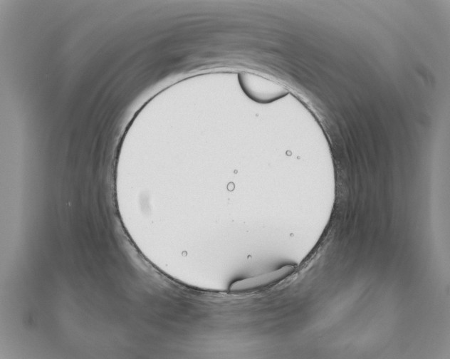 X0000110921534200907301552