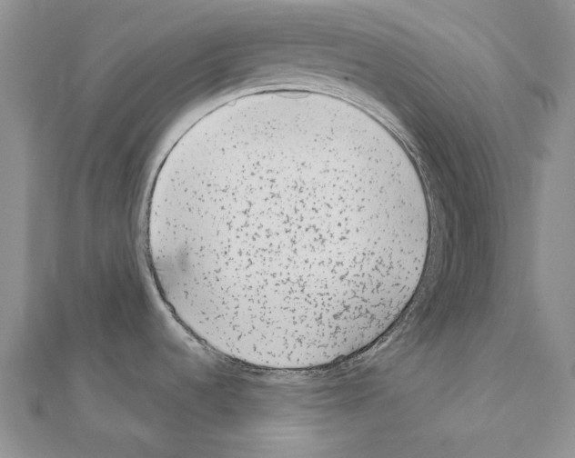 X0000110921536200907301552