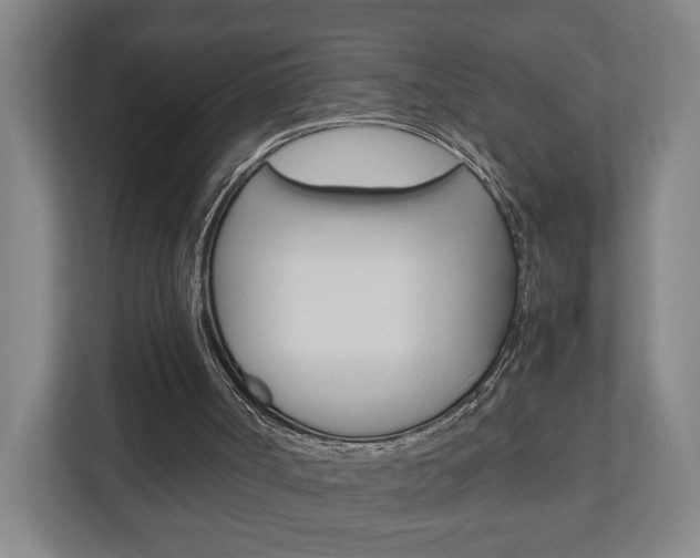 X0000110930002200906181205