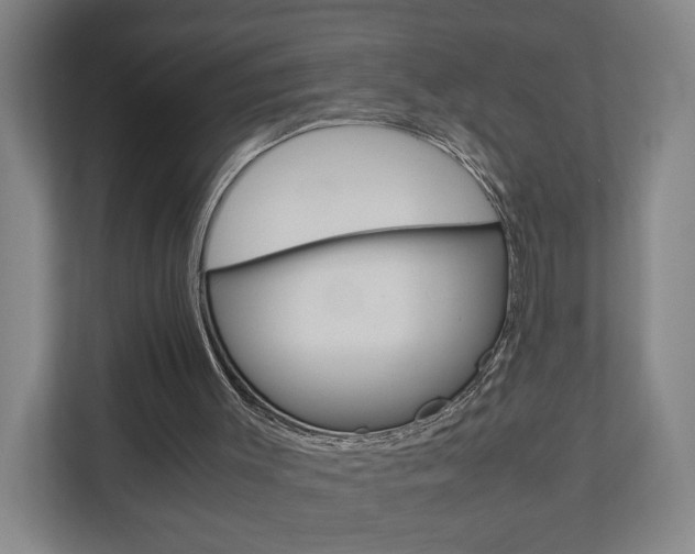 X0000110930003200906181205