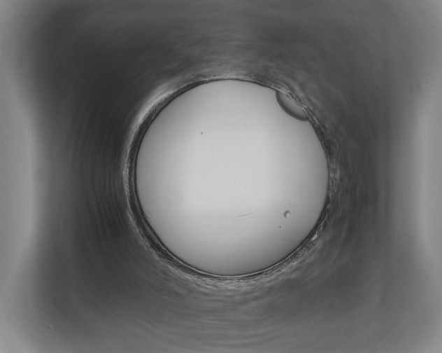 X0000110930006200906181205