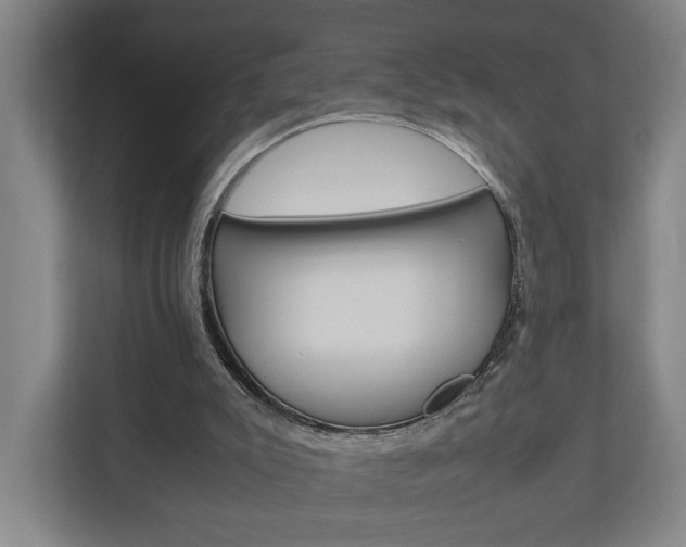 X0000110930007200906181205
