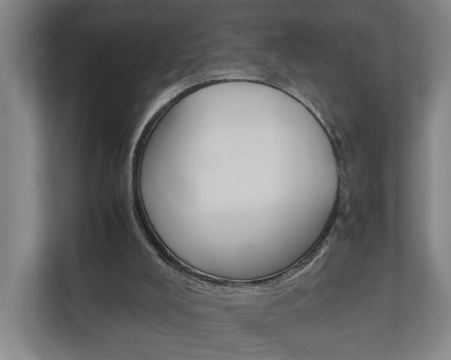 X0000110930008200906181205