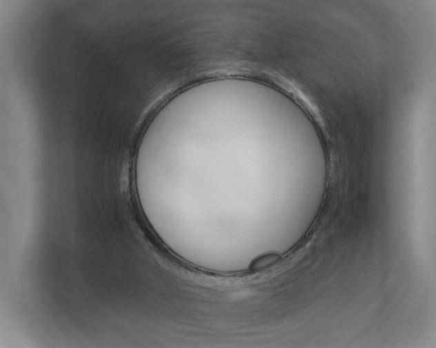 X0000110930010200906181205