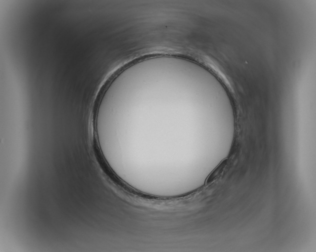X0000110930011200906181205
