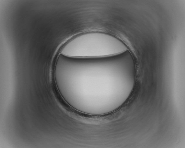 X0000110930012200906181205