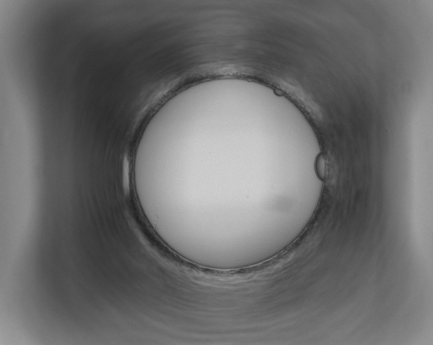 X0000110930014200906181205