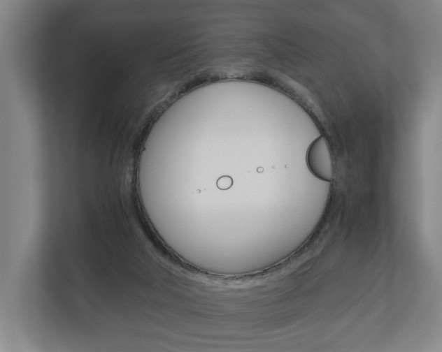 X0000110930018200906181205