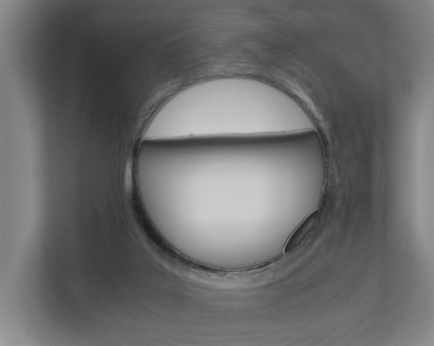 X0000110930019200906181205