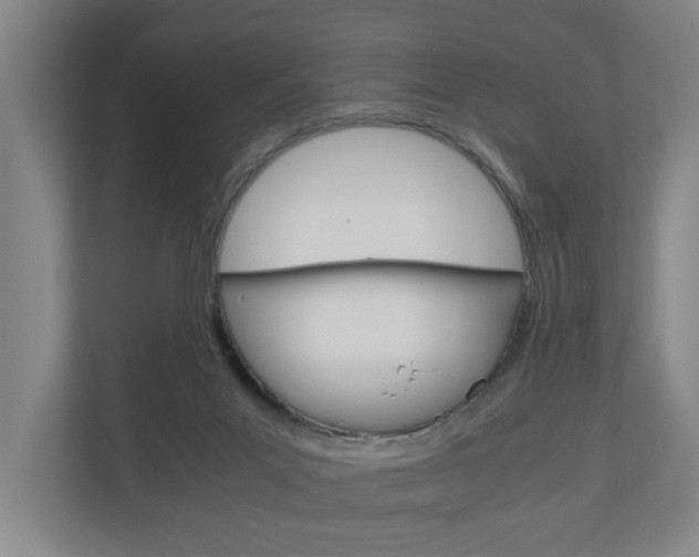 X0000110930023200906181205