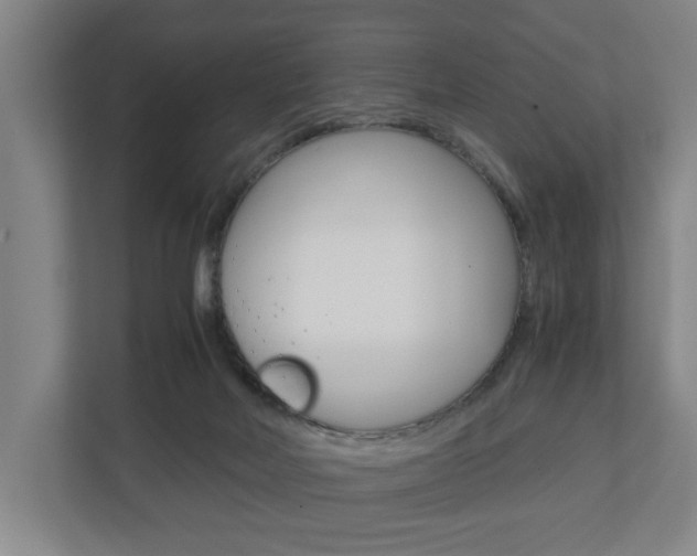 X0000110930026200906181205