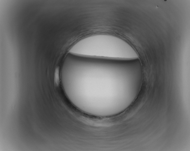 X0000110930028200906181205