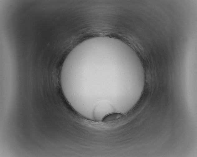 X0000110930030200906181205