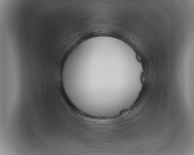 X0000110930040200906181205