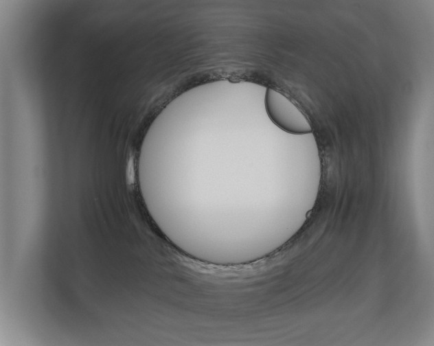 X0000110930042200906181205