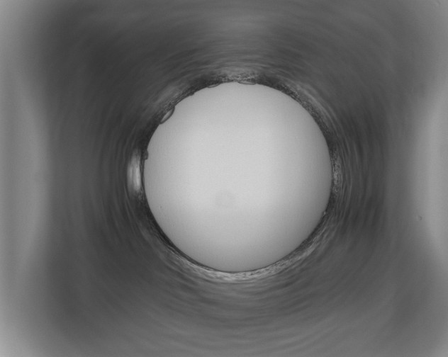 X0000110930046200906181204