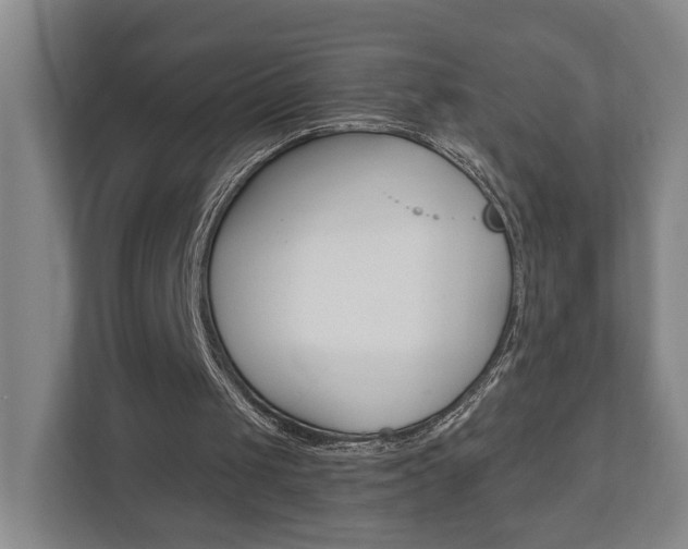 X0000110930049200906181204