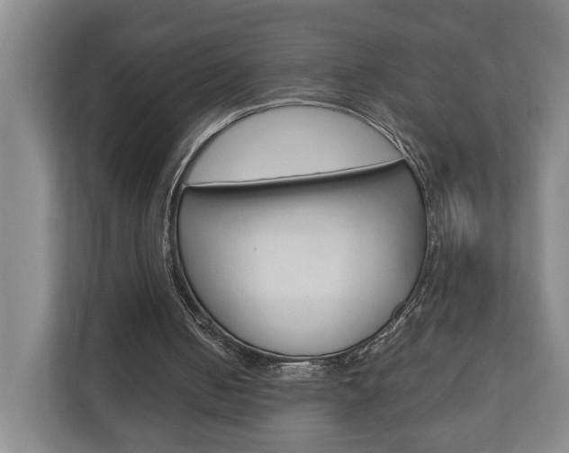 X0000110930050200906181204