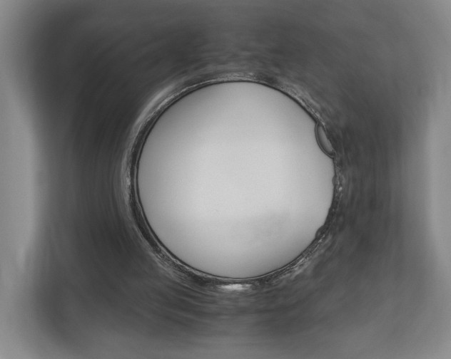X0000110930053200906181204